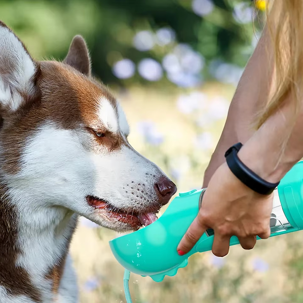 Botella 4-en-1 para hidratar y nutrir a tu perro 