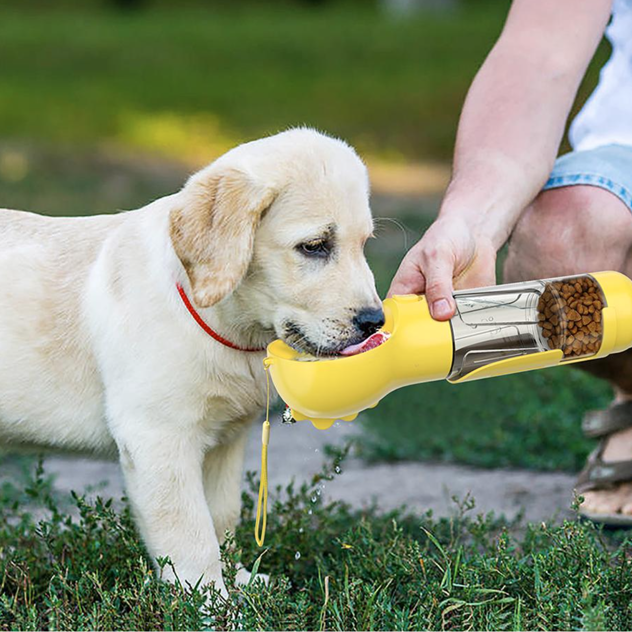 Botella 4-en-1 para hidratar y nutrir a tu perro 